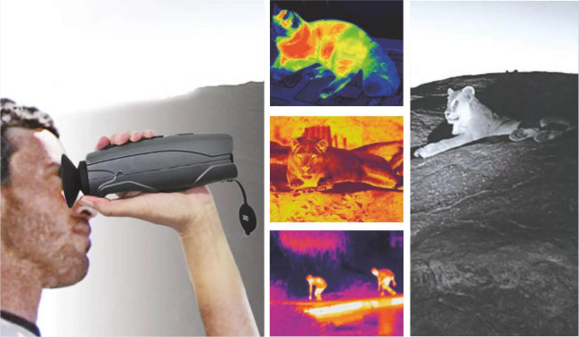 Тепловизионный монокуляр CEM T-72 в Казани