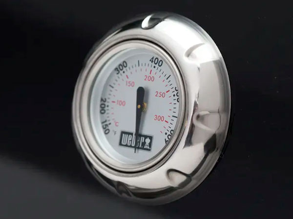 Газовый гриль WEBER Spirit E-325 GBS в Казани