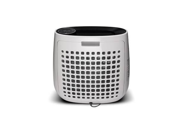 Очиститель воздуха FPJ31RB в Казани