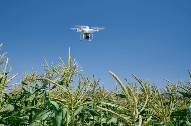 Сельскохозяйственный квадрокоптер DJI Phantom 4 мультиспектральный в Казани