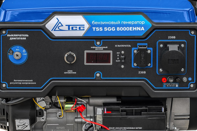 Бензогенератор TSS SGG 8000EHNA в Казани