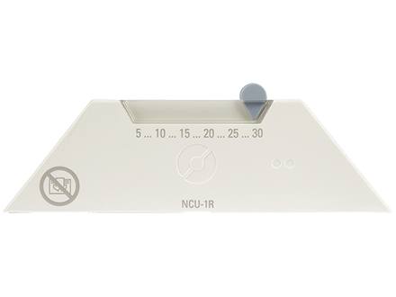 NCU 1R в Казани