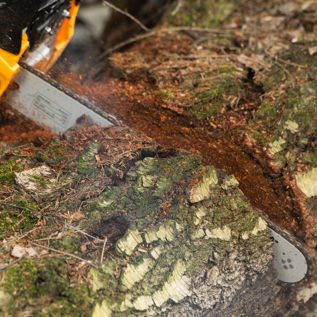 Пила цепная бензиновая DGS-4516, шина 40 см, 45 см3, 3 л.с, шаг 3/8, паз 1.3 мм, 57 звеньев Denzel в Казани